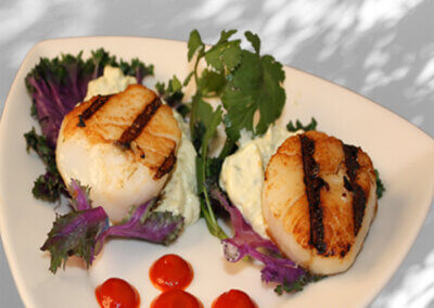 Scallops